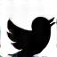 Twitter Profile
